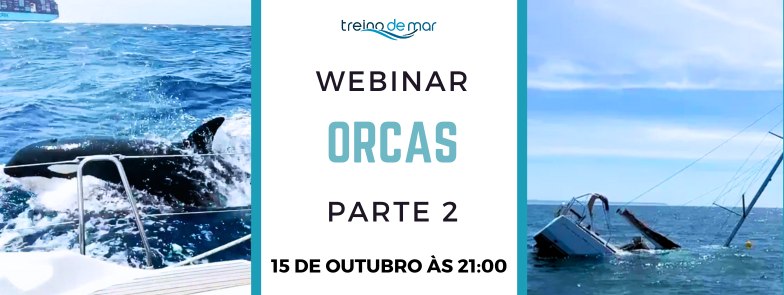Webinar Orcas – Perigo para a Navegação de Recreio – Parte 2