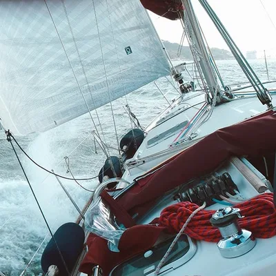 Vela